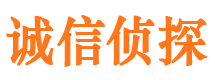 长子侦探公司